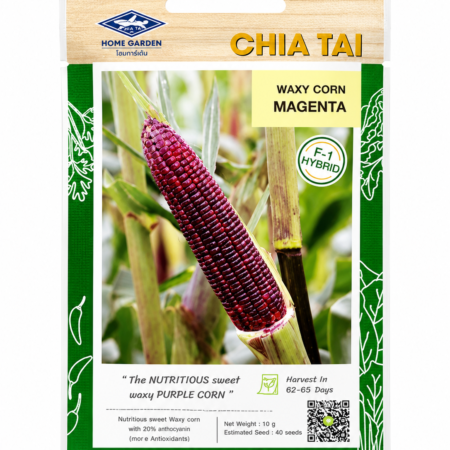 Waxy Corn Magenta F1 Seeds