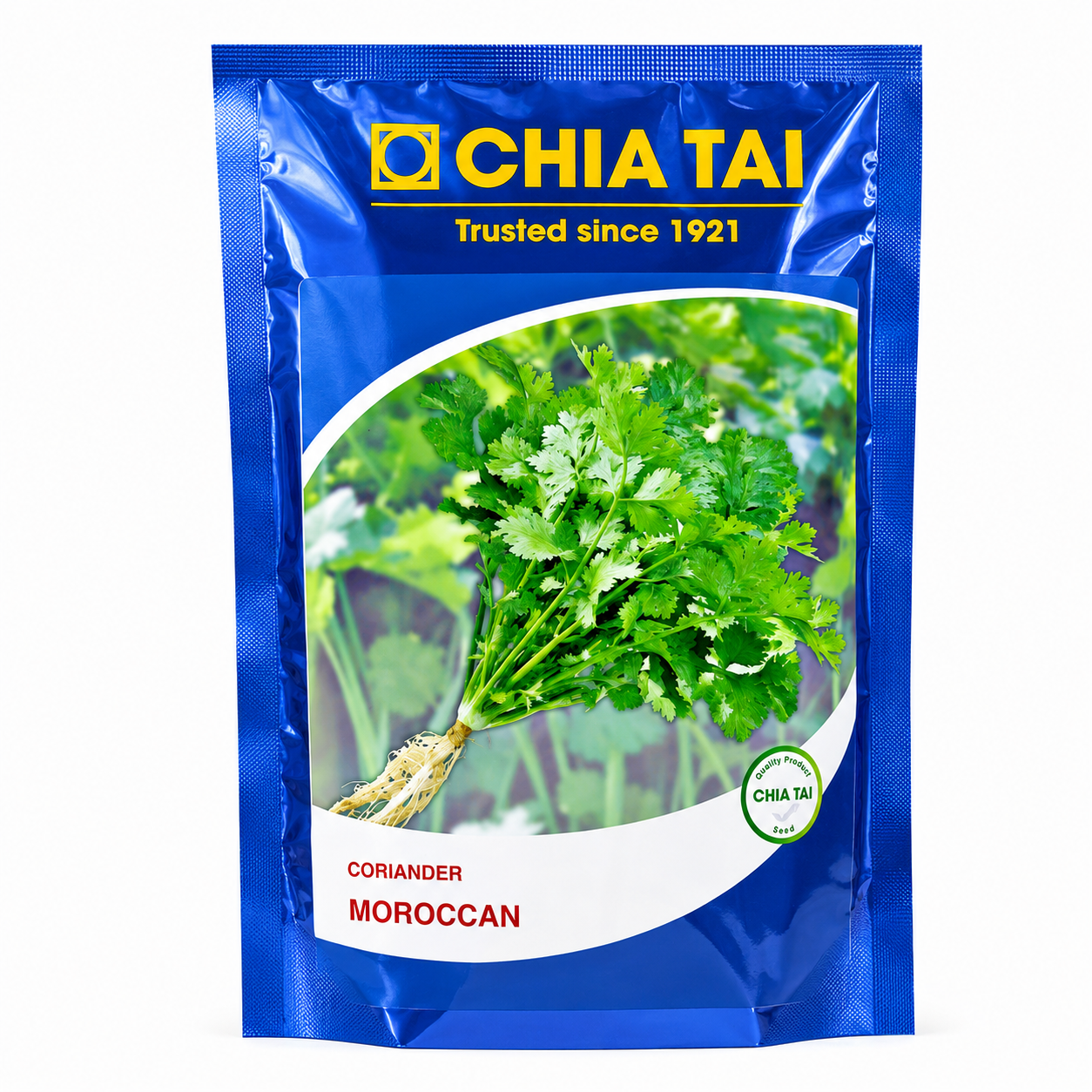 Coriander Moroccan Seeds